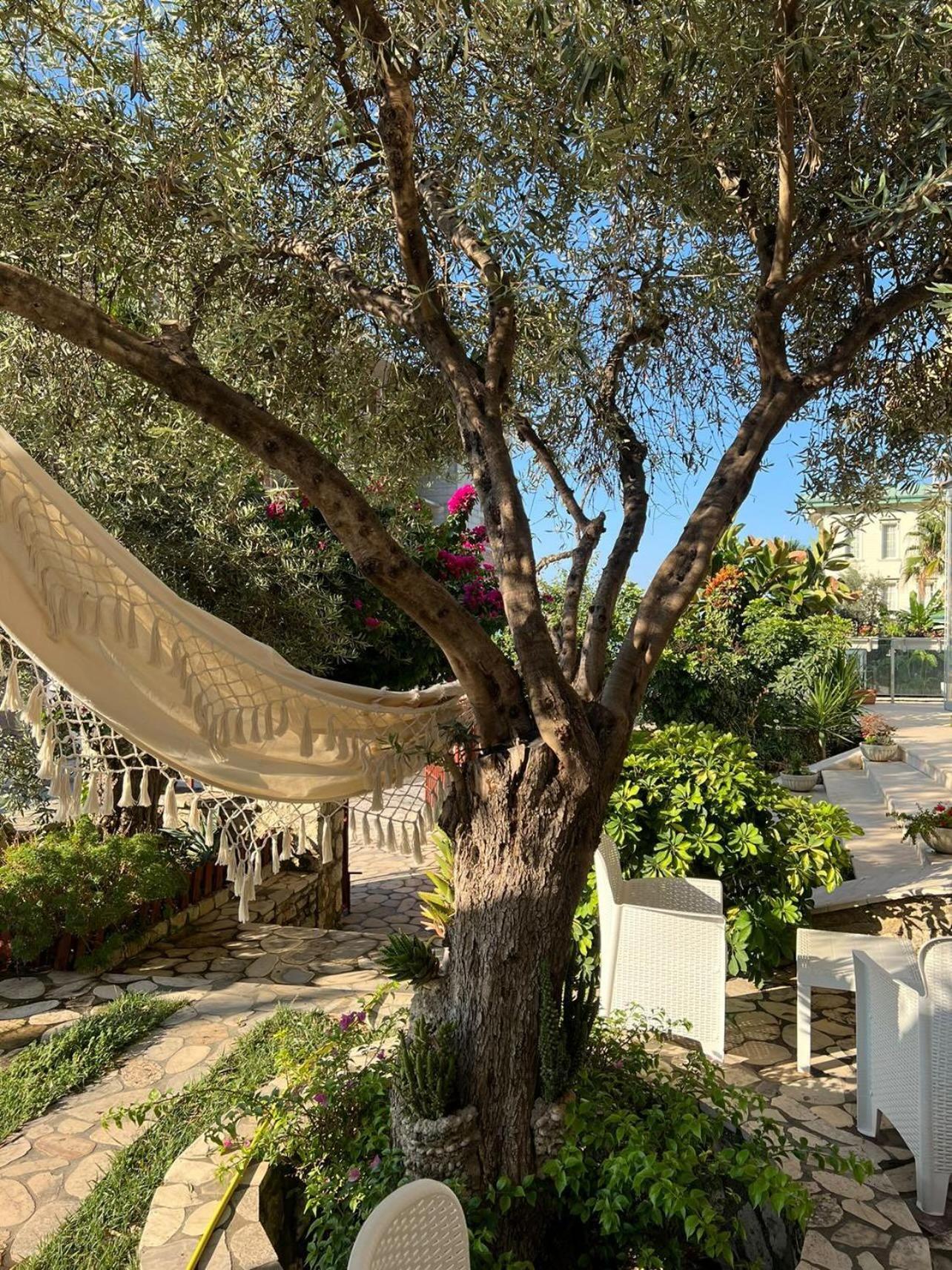 Hotel Orange Dhërmi 外观 照片